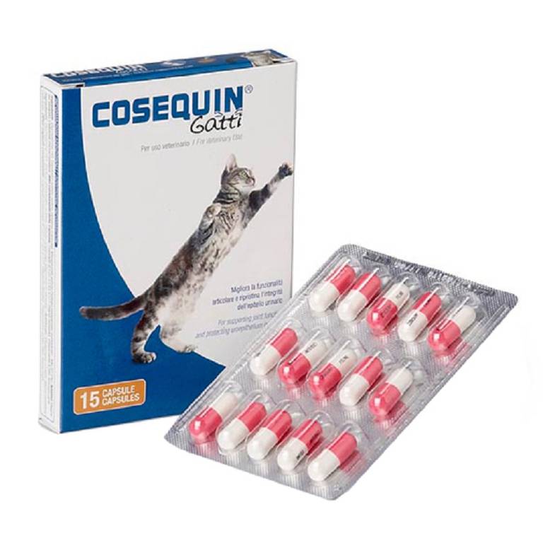 COSEQUIN GATTI 15CPS