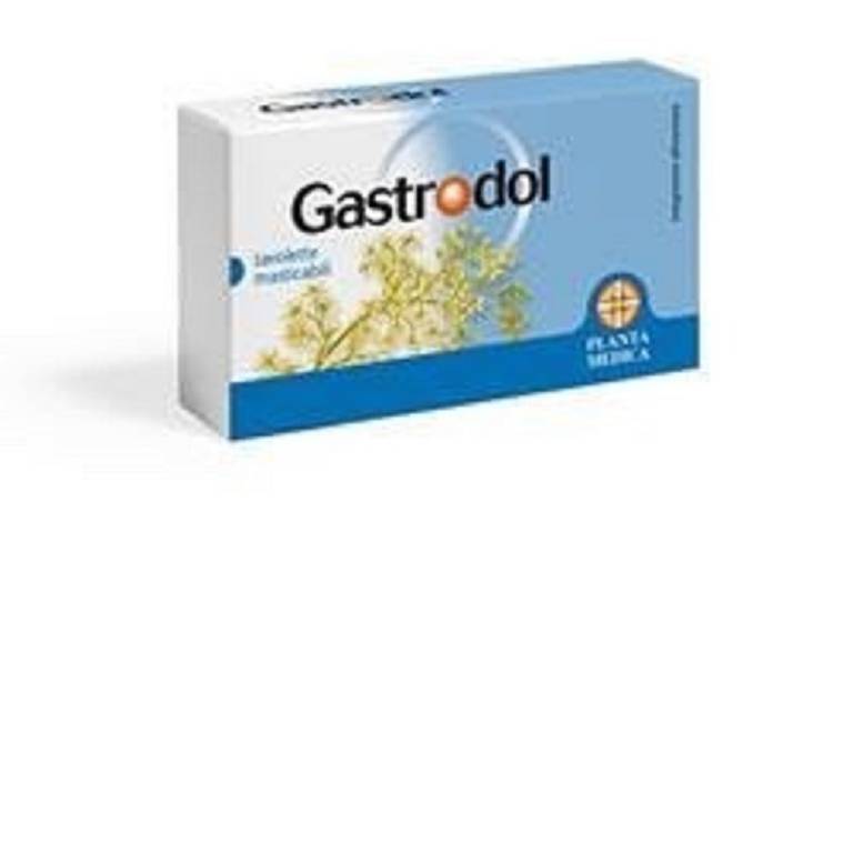 GASTRODOL 30TAV 24G